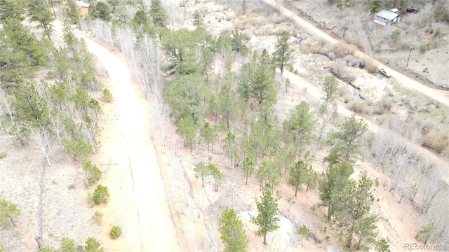 381 Neish St, Bailey, CO 80421