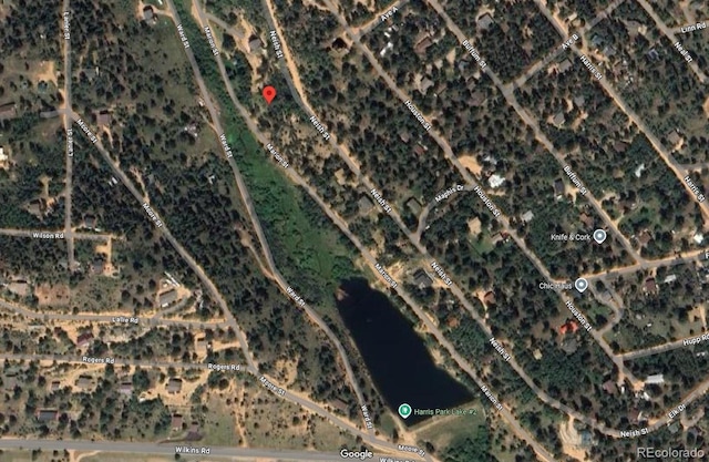 381 Neish St, Bailey, CO 80421