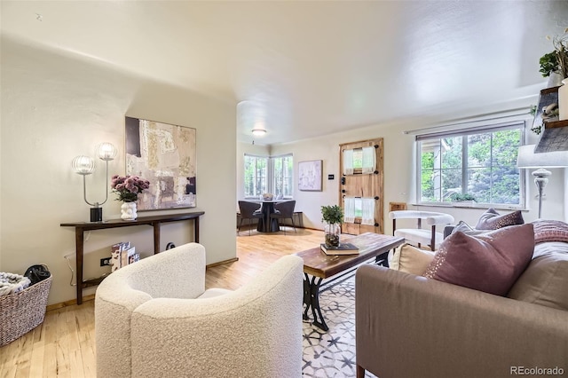 1292 Kearney St, Denver, CO 80220 - living room featuring wood finished floors