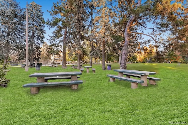 1292 Kearney St, Denver, CO 80220 - view of property's community with a lawn and view of scattered trees