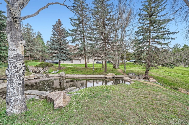 view of yard with a garden pond