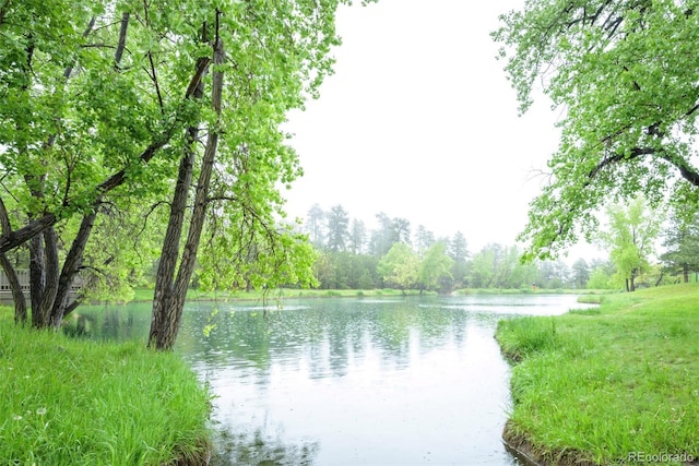 property view of water with a wooded view