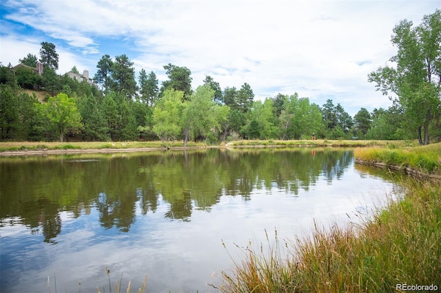 property view of water with a forest view