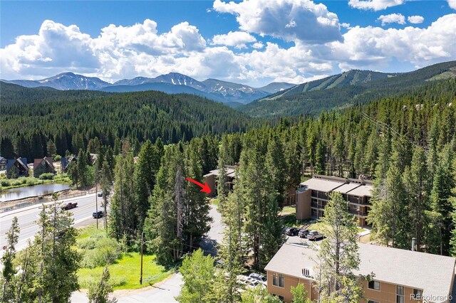 40 Gcr 702 Unit 1-101, Winter Park, CO 80482 - photo 17