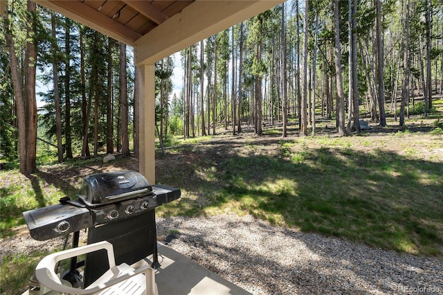 40 Gcr 702 Unit 1-101, Winter Park, CO 80482 - photo 22