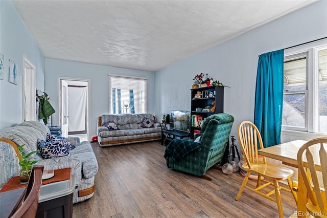 living room featuring wood-type flooring and a textured ceiling