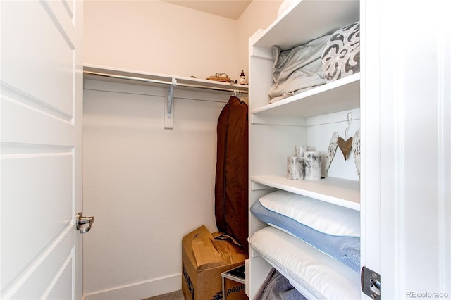 8361 Parkland St, Broomfield, CO 80021 - view of walk in closet