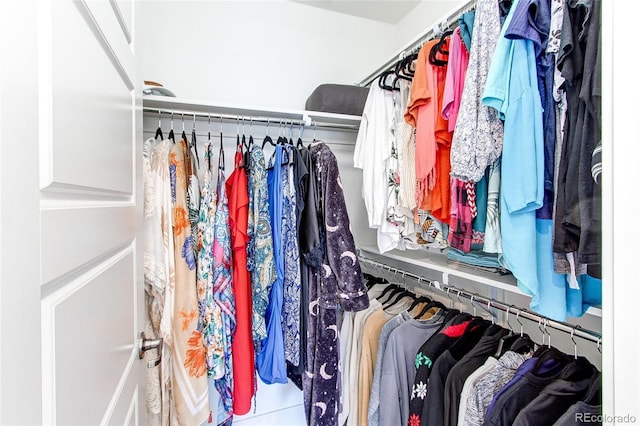 8361 Parkland St, Broomfield, CO 80021 - view of spacious closet