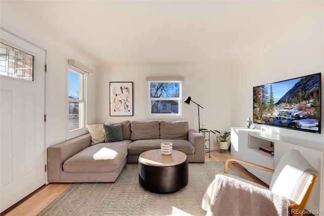 living room with light hardwood / wood-style flooring