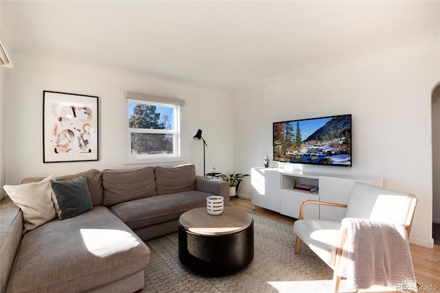 living room featuring light wood-type flooring