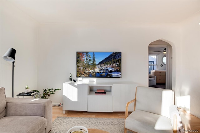 living room with ceiling fan and light hardwood / wood-style floors