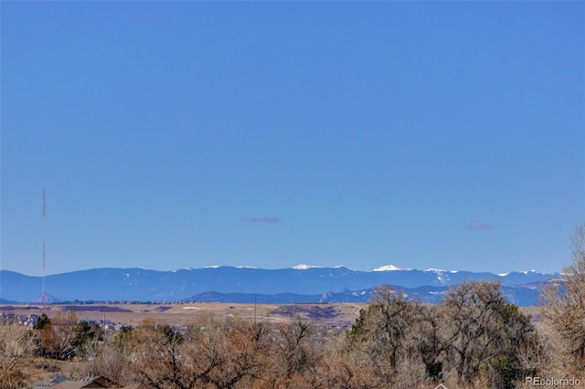 view of mountain feature