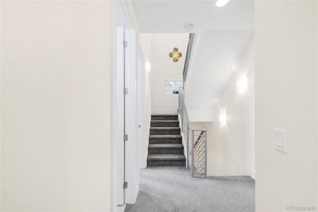 1333 Elati St Unit 1, Denver, CO 80204 - stairway with carpet floors