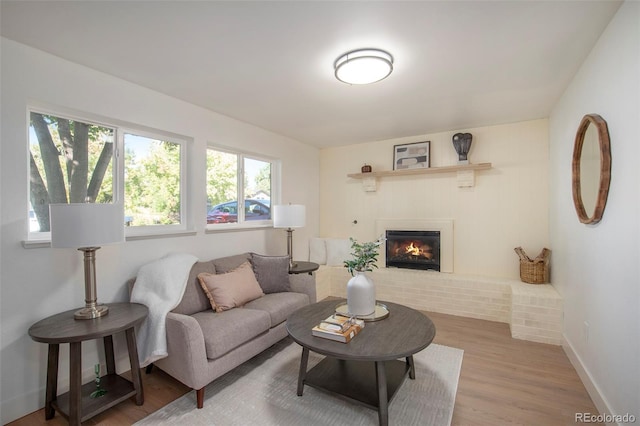 living room with a fireplace and wood-type flooring