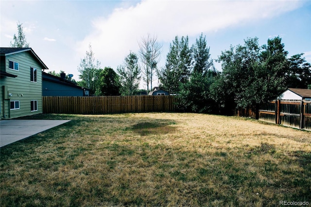 view of yard featuring a patio