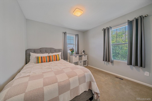 21392 E Stroll Ave, Parker, CO 80138 - carpeted bedroom with multiple windows
