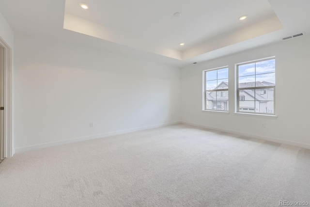 empty room featuring light colored carpet and a raised ceiling