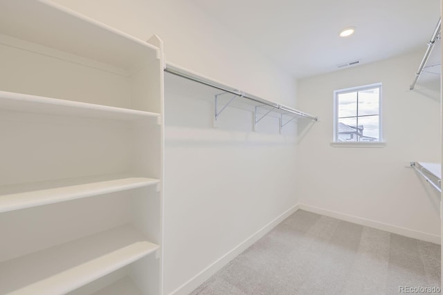 walk in closet featuring carpet flooring