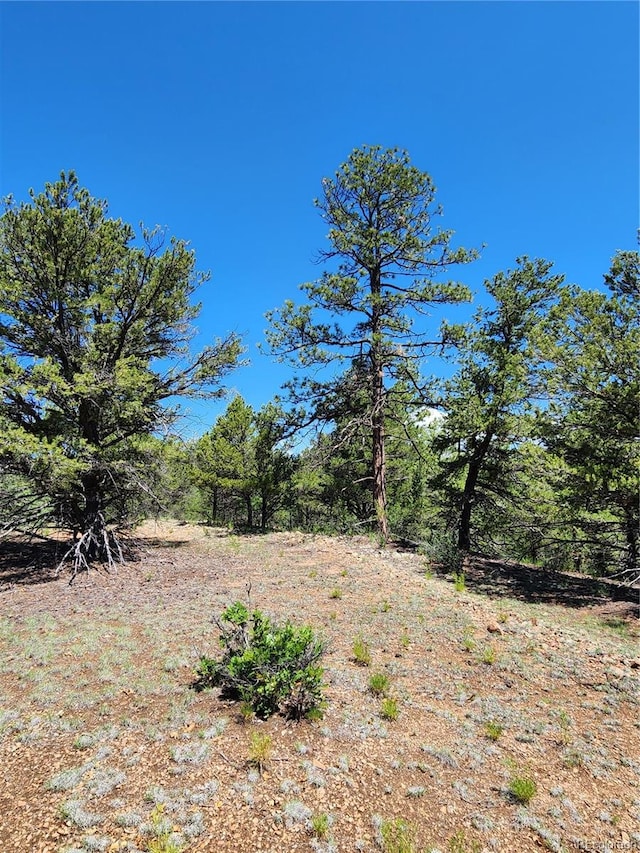 Listing photo 3 for TBDL 9th Trail, Cotopaxi CO 81223