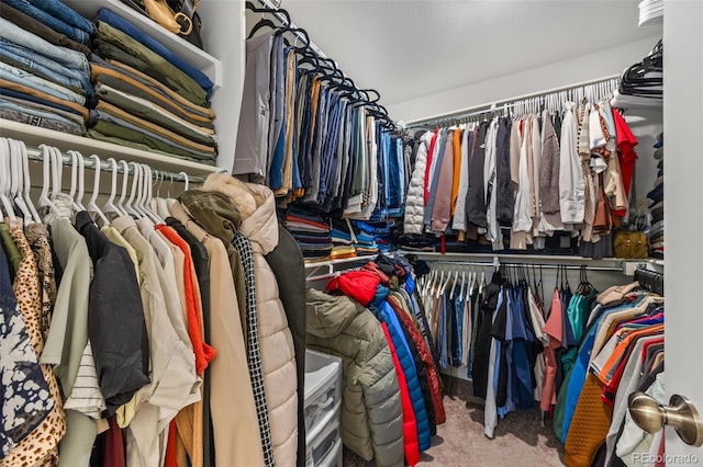 4060 N Rome St, Aurora, CO 80019 - walk in closet featuring carpet floors