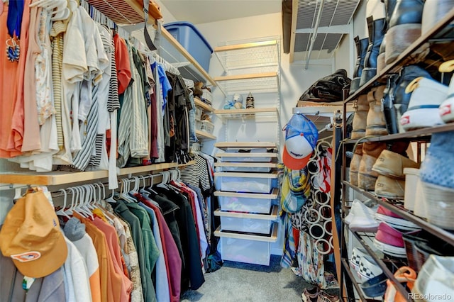 spacious closet with carpet floors