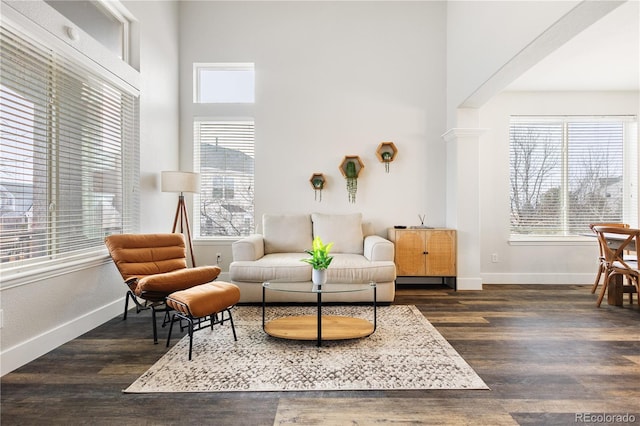 sitting room featuring dark wood-style floors, plenty of natural light, and baseboards