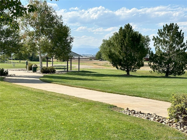 view of home's community featuring a yard