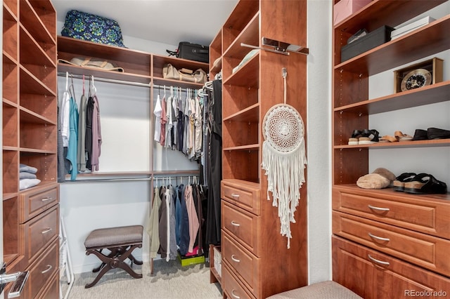 8958 Southurst St, Littleton, CO 80129 - spacious closet with carpet flooring