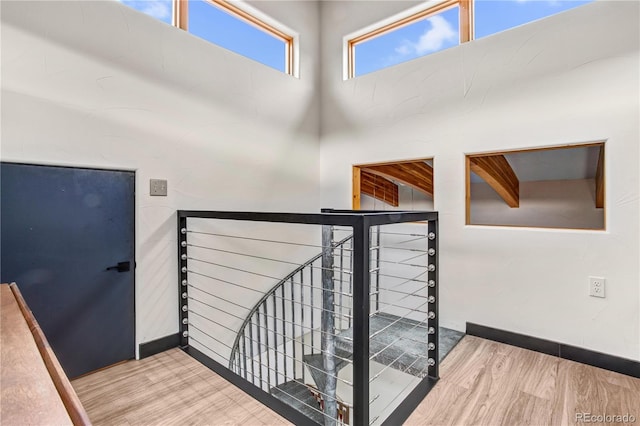 staircase featuring hardwood / wood-style floors and a high ceiling