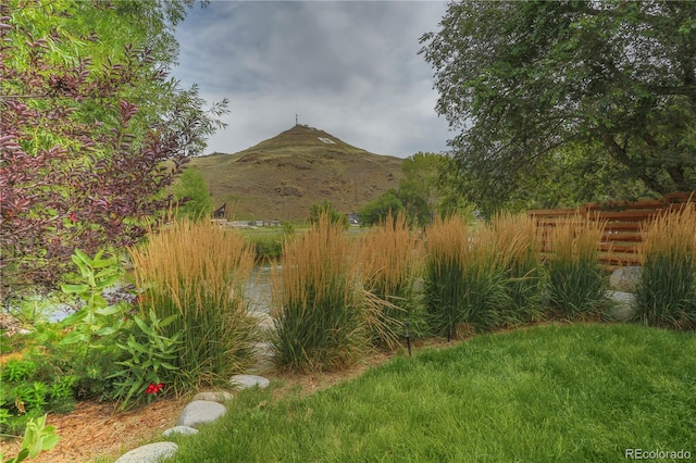 property view of mountains