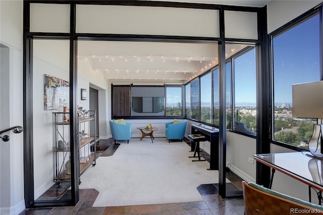 3131 E Alameda Ave Unit 1003, Denver, CO 80209 - view of sunroom