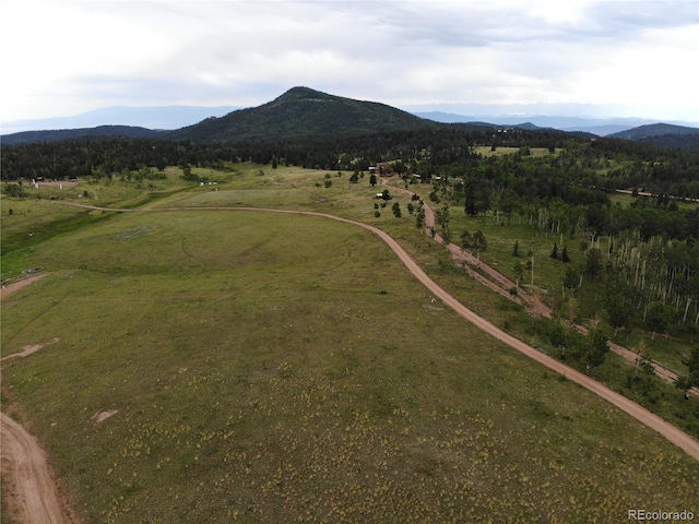 birds eye view of property with a rural view and a mountain view