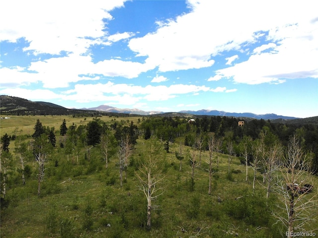 view of mountain feature featuring a forest view