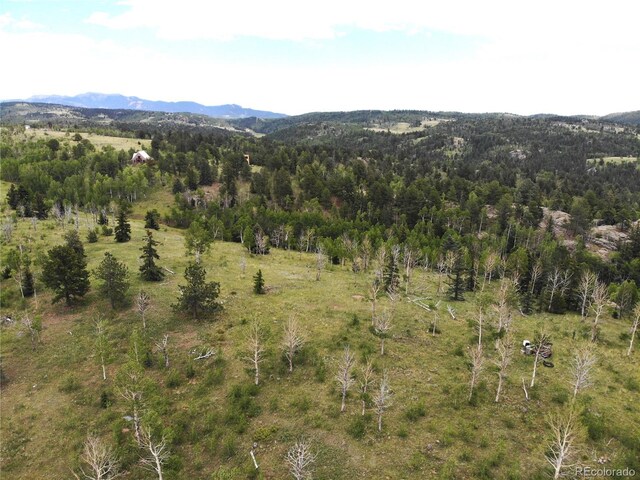 view of mountain feature with a wooded view