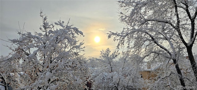 view of nature at dusk