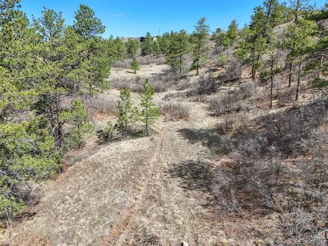 8320 Red Spring Valley Rd, Colorado Springs, CO 80919 - view of local wilderness