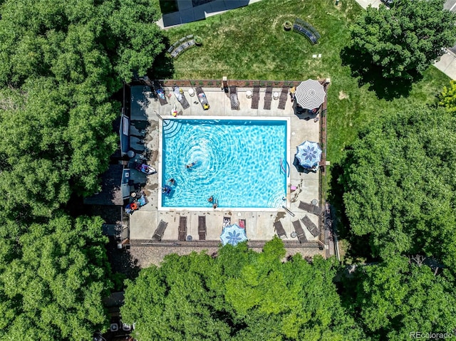 2428 W 82nd Pl Unit 1D, Westminster, CO 80031 - drone / aerial view of a pool