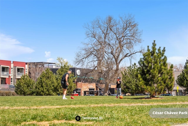 1907 W Elk Pl, Denver, CO 80211 - view of grassy yard