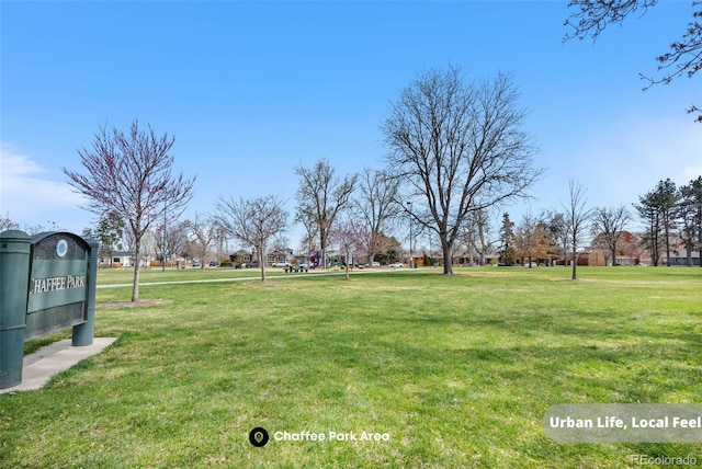 1907 W Elk Pl, Denver, CO 80211 - view of grassy yard