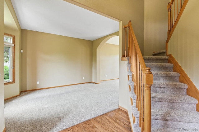 8286 W 108th Pl, Westminster, CO 80021 - stairs with arched walkways, carpet, and wood finished floors