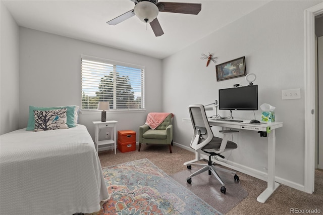 6190 S Summer Ridge Way, Castle Rock, CO 80109 - photo 22