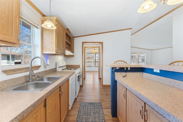 2019 S Fox St, Denver, CO 80223 - kitchen featuring white appliances, wood finished floors, healthy amount of natural light, light countertops, and crown molding