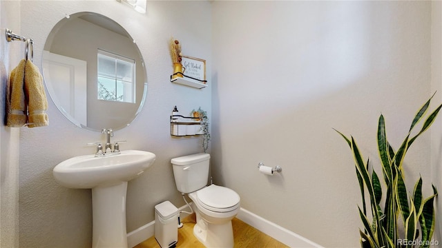 416 Hyde Park Cir, Castle Pines, CO 80108 - photo 9