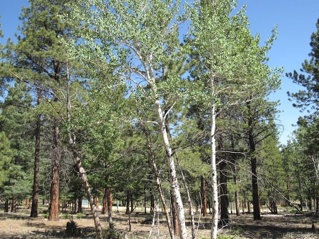 30423 Harvard Cir, Buena Vista, CO 81211