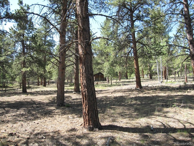 30423 Harvard Cir, Buena Vista, CO 81211