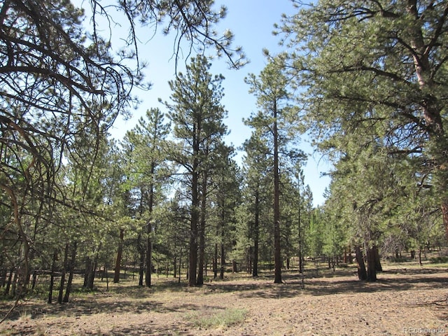 30423 Harvard Cir, Buena Vista, CO 81211