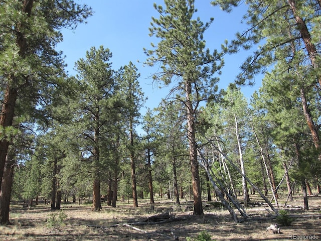 30423 Harvard Cir, Buena Vista, CO 81211