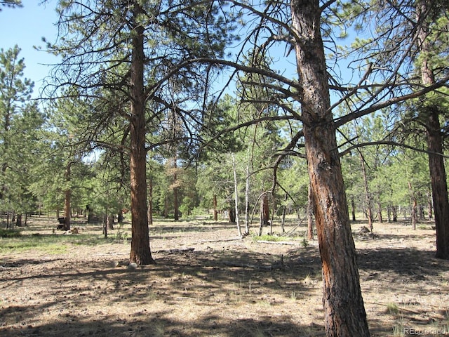 30423 Harvard Cir, Buena Vista, CO 81211