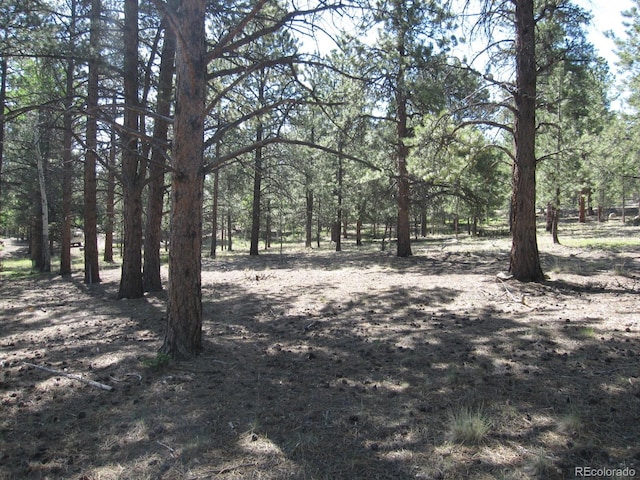 30423 Harvard Cir, Buena Vista, CO 81211