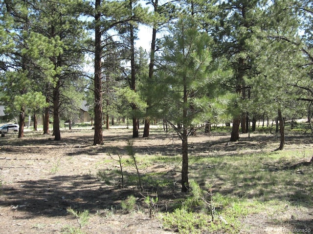 30423 Harvard Cir, Buena Vista, CO 81211